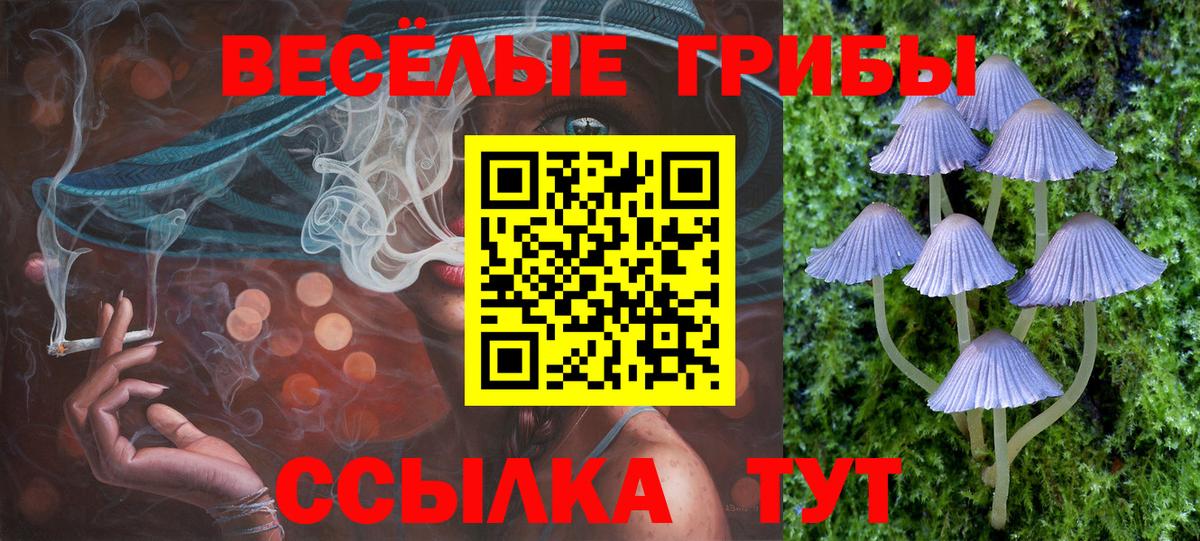 Полевской  Галлюциногенные грибы Cubensis  Вход с VPN 