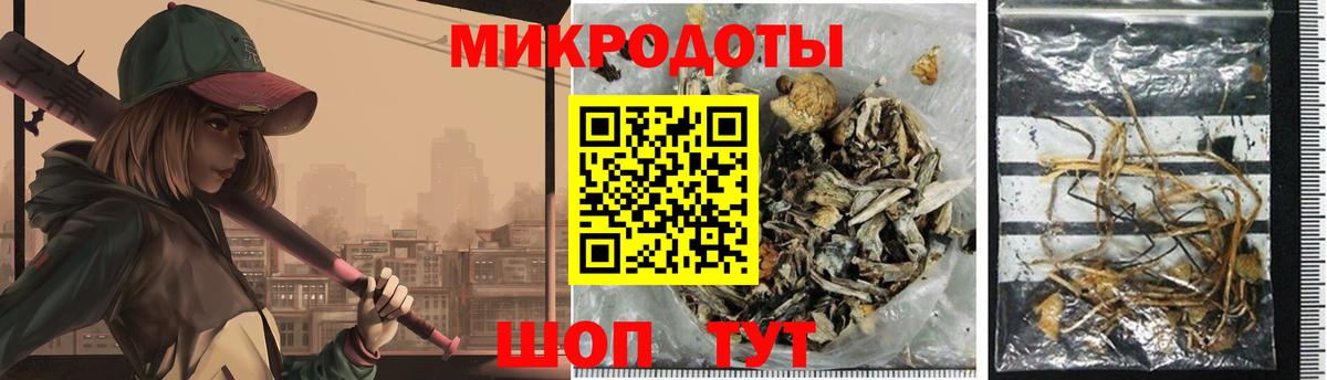 Псилоцибиновые грибы Psilocybe Полевской
